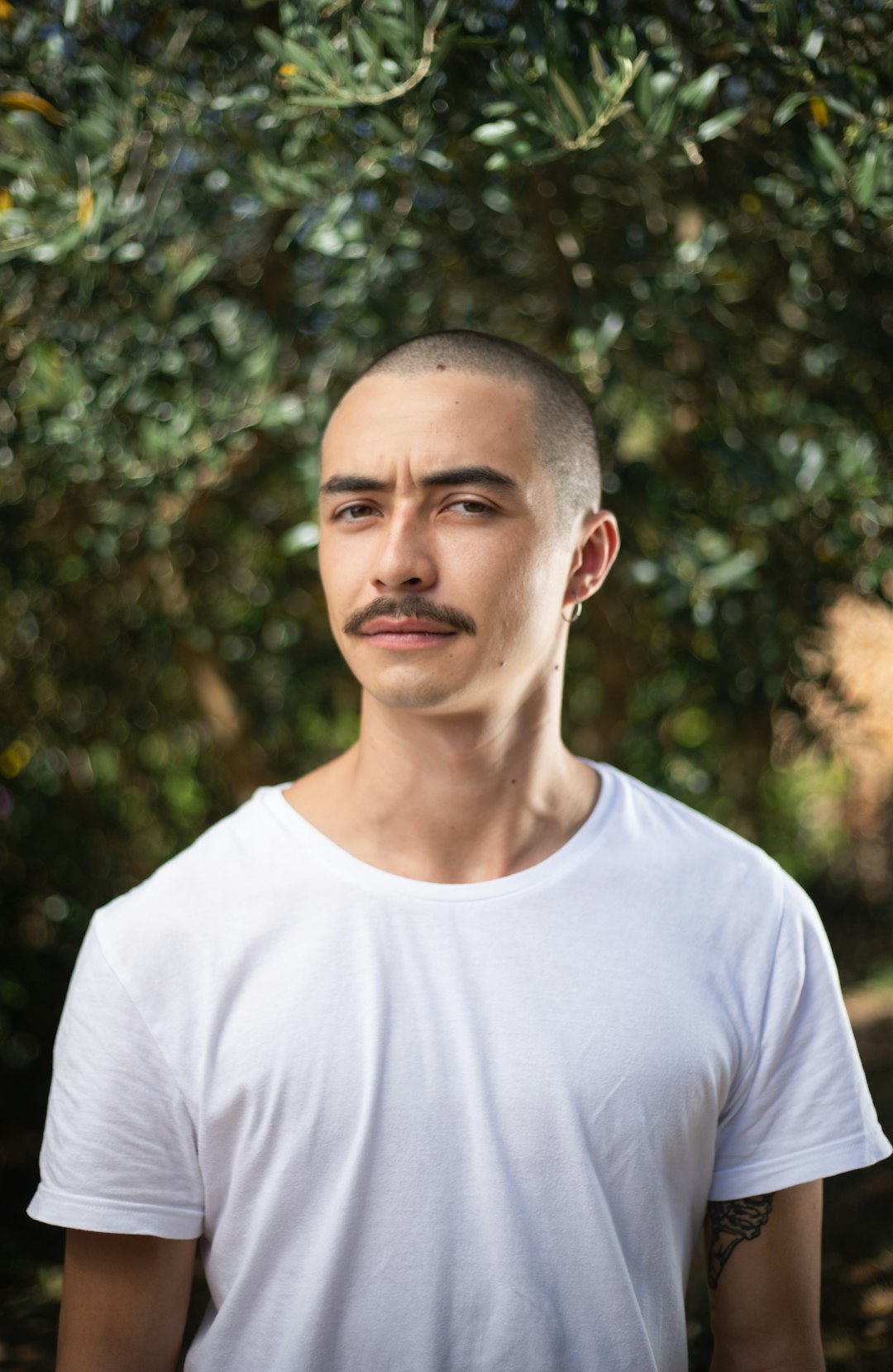 Mateo